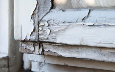 Damages Caused To Wooden Doors Over Time