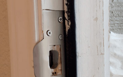 Reasons to Replace your Exterior Door with a Solid Wood Door