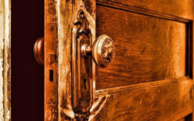 Top 6 Factors That Affect The Performance Of Doors